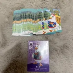 あつまれどうぶつの森 グミカード ケンタ