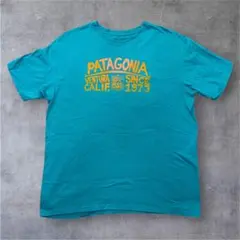 Patagonia パタゴニア Tシャツ オーガニックコットン ヴィンテージ