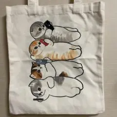 SA-KO様 リクエスト 2点 まとめ商品