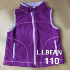 Item thumbnail for item 70e0805e-e884-488f-90de-b350d4c003b5