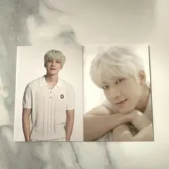 セブチ　ウォヌ　トレカ