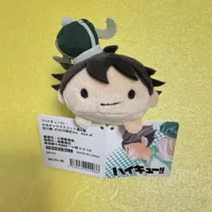 ハイキュー!! 及川徹 のるキャラ JF2018限定 大王様 - メルカリ