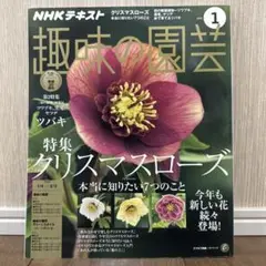 趣味の園芸　クリスマスローズ特集　2018年1月号