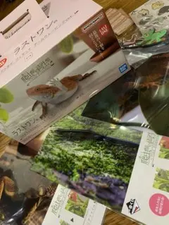 一番くじ 爬虫類＆両生類 ラストワン賞 フトアゴヒゲトカゲ