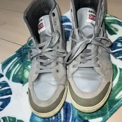 Item thumbnail for item 2f0dfd95-0541-4285-9718-50c342649be7