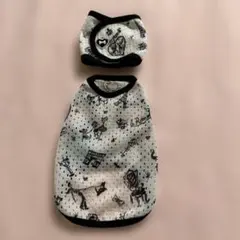 Item thumbnail for item 5ef90bb5-c505-47c5-87eb-a56226392b68