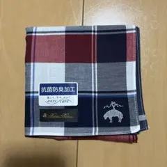 【新品】 ブルックスブラザーズ ハンカチ （ライトブルー / 格子柄）のサムネイル