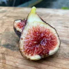 2026年最新】いちじく沼の人気アイテム - メルカリ