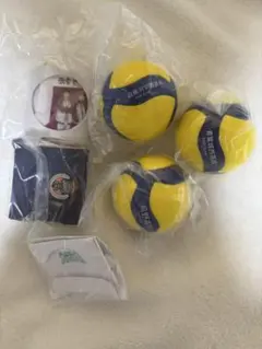 ハイキュー‼︎×mikasaコラボBOX付きボール　３種セット