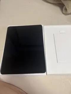 iPad 本体 128GB 箱・ケース・充電器・充電ケーブル3本・イヤホン付き