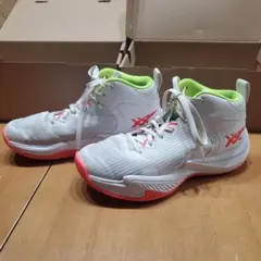 アシックスバスケットシューズ24.5