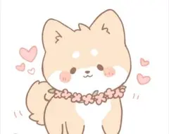 Rin,rin様専用