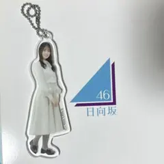 2026年最新】小坂菜緒 アクスタの人気アイテム - メルカリ