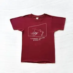 80s USA製 SCREEN STARS print teeのサムネイル