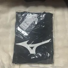 ミズノ 長袖tシャツ Lサイズ