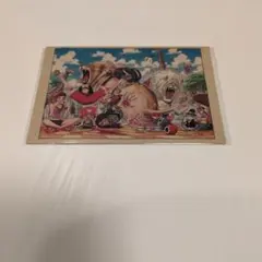 【未開封】ワンピース展2012 カード3枚セット ～lion eagle ark