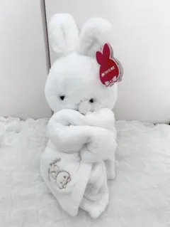 うさぎ ブランケット付きのサムネイル