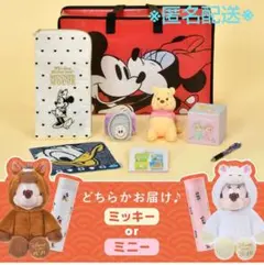 【新品★未使用】ディズニーストア　2026 ラッキーバッグ　ミッキーマウス