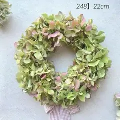 248】ドライフラワーリース　秋色紫陽花ラウンドリース　グリーンにピンクのフリル 248】ドライフラワーリース 秋色紫陽花ラウンドリース グリーンに