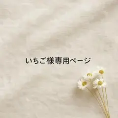 いちご様専用ページ
