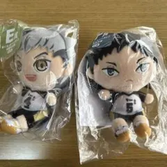 2025年最新】木兎光太郎ぬいぐるみの人気アイテム - メルカリ