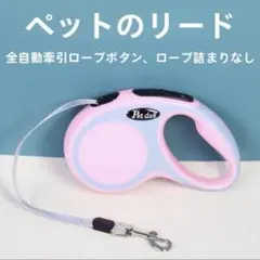 Item thumbnail for item d8cbfcef-5755-4674-8dc1-6995d43b8f3a