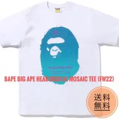 【新品未使用】A BATHING APE(Digital Mosaic Tee）のサムネイル