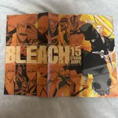 BLEACH 15号 & STRAFE PANZER ポスターセット