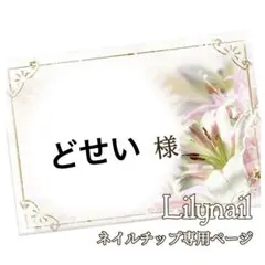 どせい様専用❤︎.*