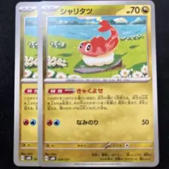 シャリタツ　2枚セット　MBD