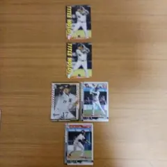 Item thumbnail for item 6d70ae60-8950-40e7-bfa4-01fad368255e