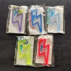 琵琶湖キーホルダー　フェストイナズマ　5色セット
