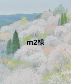 m2 様　専用　詳細必読