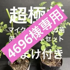 4696様 リクエスト 2点 まとめ商品
