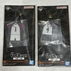 ハイキュー!!くじ スクールアイコンボタン付きアクリルチャーム