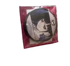 葵様専用 立志編 カナヲ 缶バッジ 鬼滅の刃