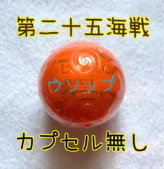 ワンピース ワンピの実 第二十五海戦 ウソップ