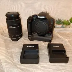 2026年最新】eos kiss x2 中古の人気アイテム - メルカリ
