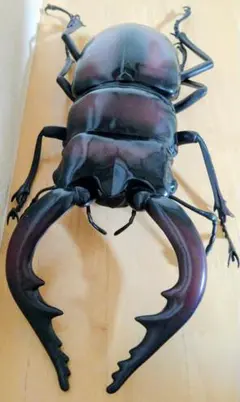 ノコギリクワガタ　MEGA　フィギュア　昆虫　大きい　特大　クワガタムシ　BIG