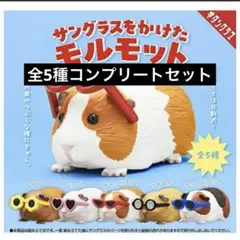 サングラスをかけたモルモット　ガチャ　全5種コンプセット