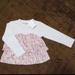 Item thumbnail for item 67af5597-3fd5-48db-9624-514e443575b8