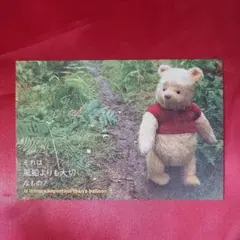 プーさん ポストカード Disney