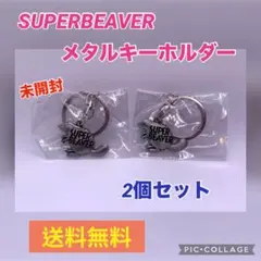 2026年最新】super beaver ピアスの人気アイテム - メルカリ