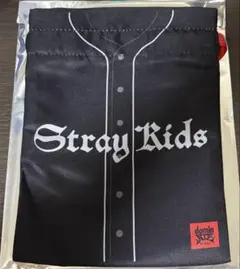StrayKids スキズ dominATE VRライブ 巾着ポーチ チャンビン