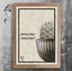 2025年最新】コピアポア シネレアの人気アイテム - メルカリ