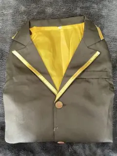 ツイステ コスプレ ラギーブッチ 制服