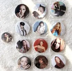 安室奈美恵 25th Anniversary Live 缶バッジ セット 2025年最新】安室奈美恵缶バッジの人気アイテム - メルカリ