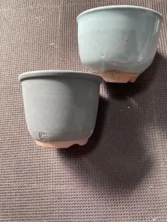 2026年最新】伝市鉢の人気アイテム - メルカリ