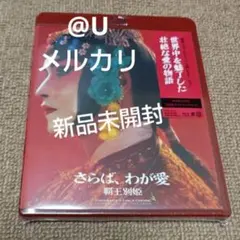 レスリーチャン　red mission ポストカード　パンフレットなど レスリーチャン red mission ポストカード パンフレットなど RED