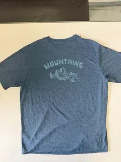 パタゴニア キャプリーンクールデイリーグラフィック Lサイズ 美品